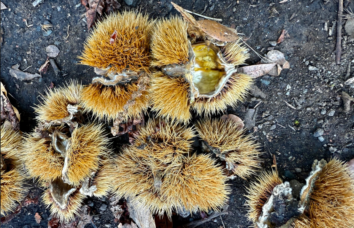 Screenshot 2026-01-28 131418.png