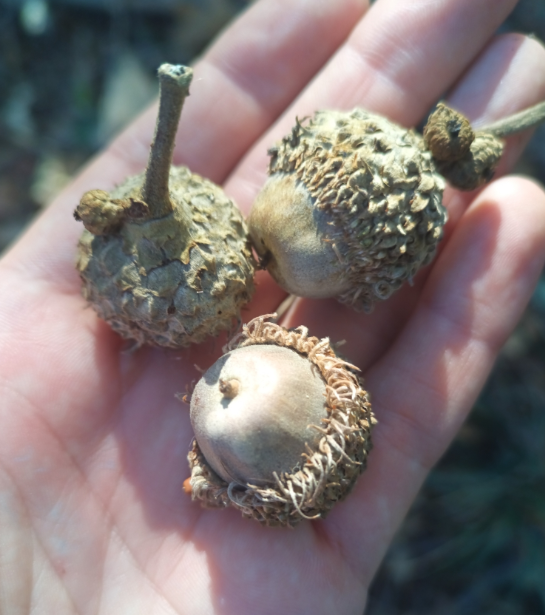 Screenshot 2025-12-19 143439.png