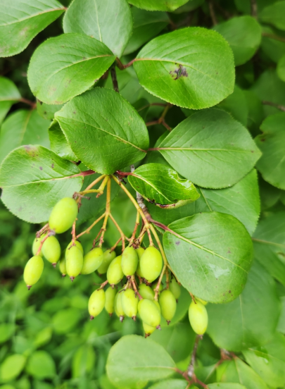 Screenshot 2025-12-28 150313.png