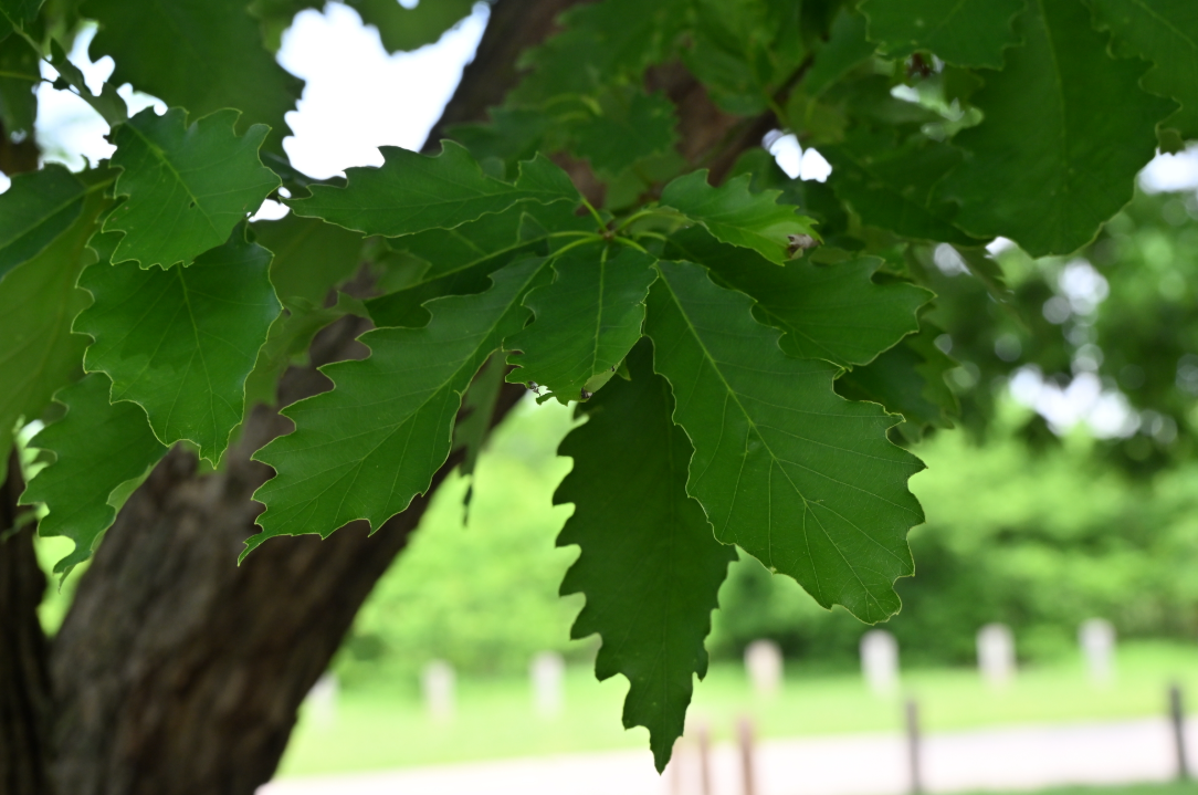 Screenshot 2025-12-19 144405.png