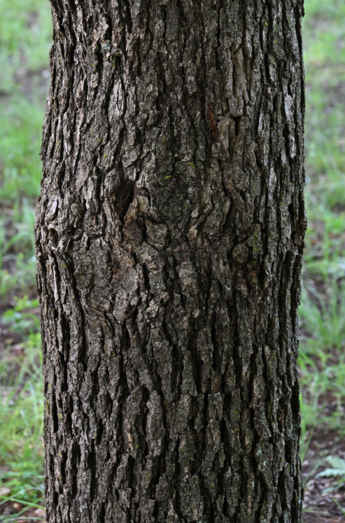 Screenshot 2025-12-19 144341.png