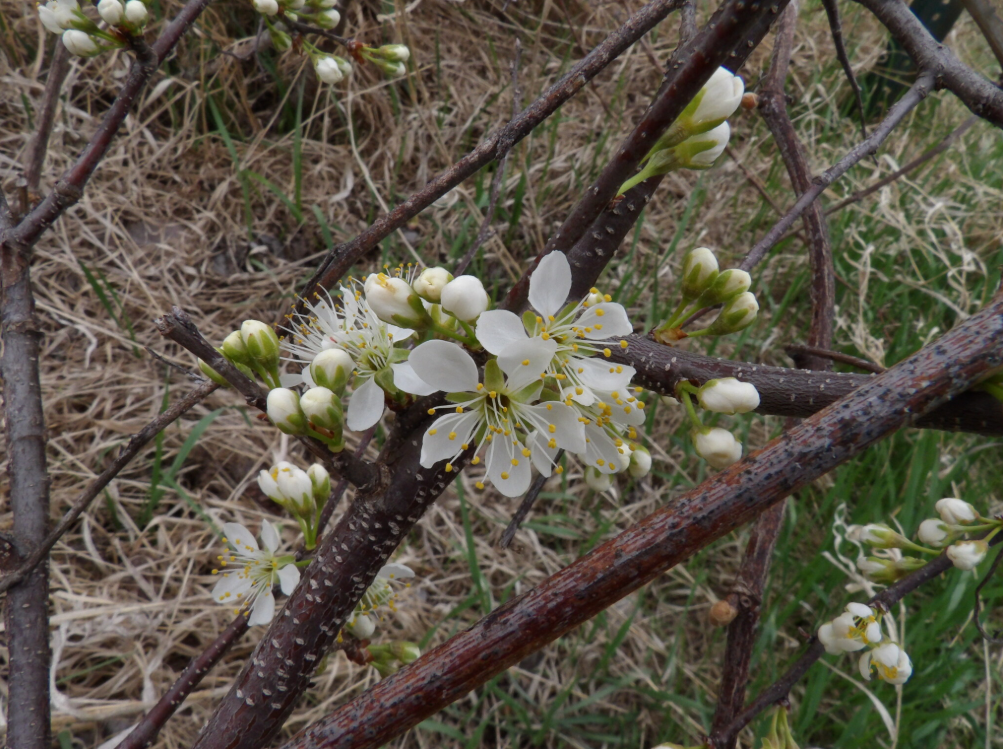 Screenshot 2025-12-19 141806.png