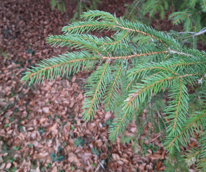 Screenshot 2025-12-22 183558.png