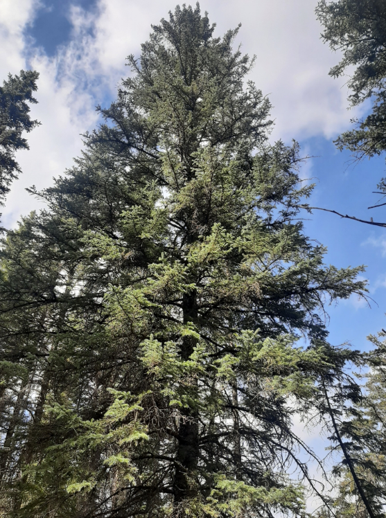 Screenshot 2025-12-28 144355.png