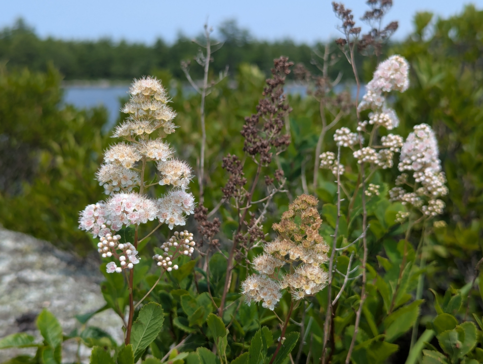 Screenshot 2025-12-31 113336.png