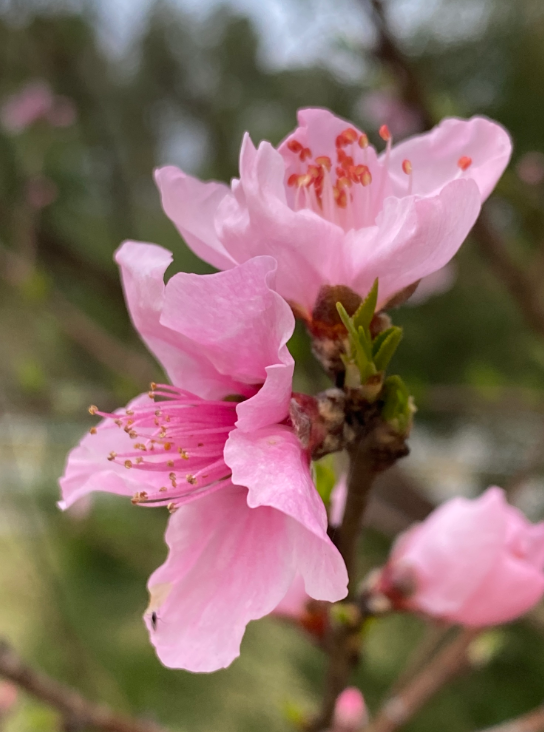 Screenshot 2025-12-28 210821.png