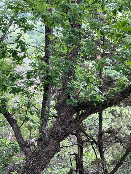 Screenshot 2025-12-19 144320.png