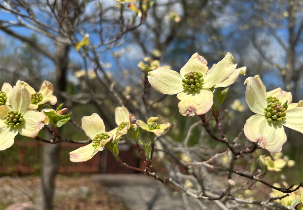 Screenshot 2025-12-20 160532.png