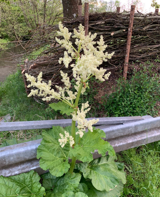 Screenshot 2026-01-02 144245.png