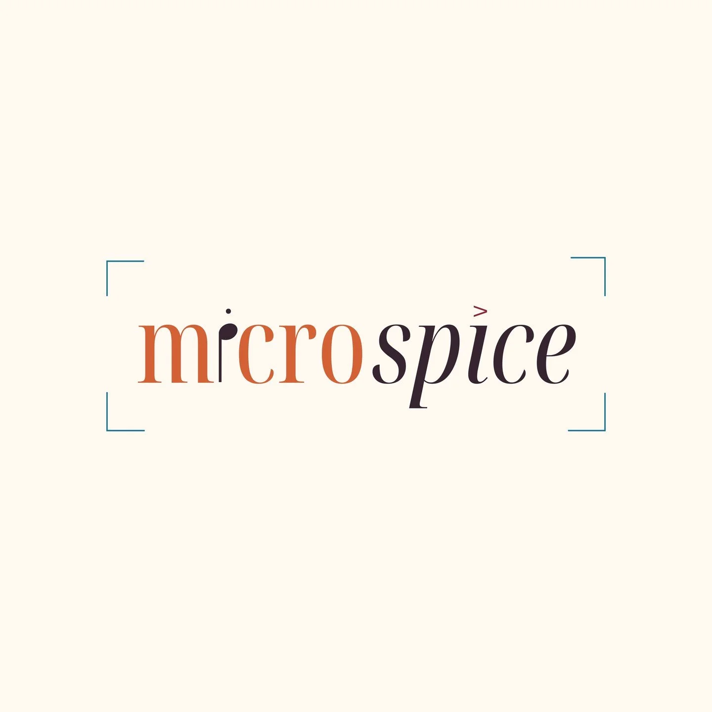 Hi, we&rsquo;re Micro Spice!
We&rsquo;re Chris &amp; Shireen, an acoustic duo based in Central Illinois. We play stripped-down versions of indie, pop, and jazz-influenced songs with vocals, guitar, and a little piano here and there. Whether it&rsquo;