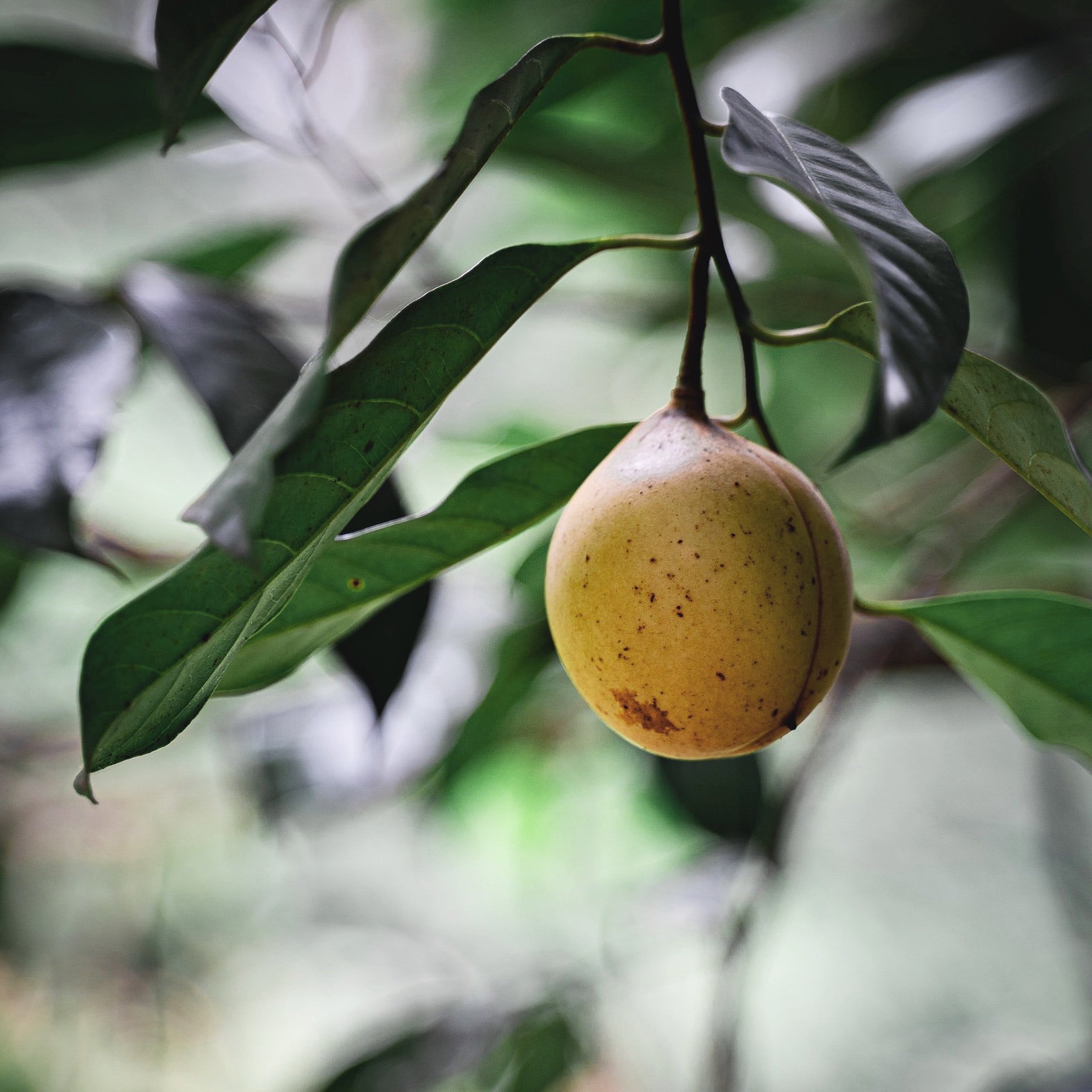 unsplash-image-Hl8KrzgGauQ.jpg