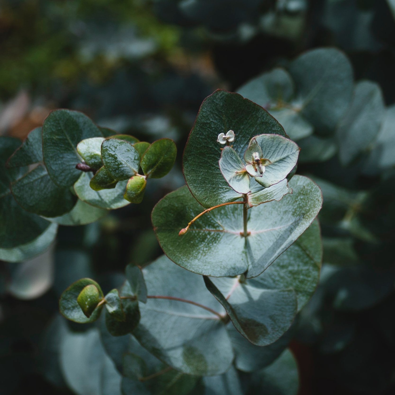 unsplash-image-dIEa0BytZ_g.jpg