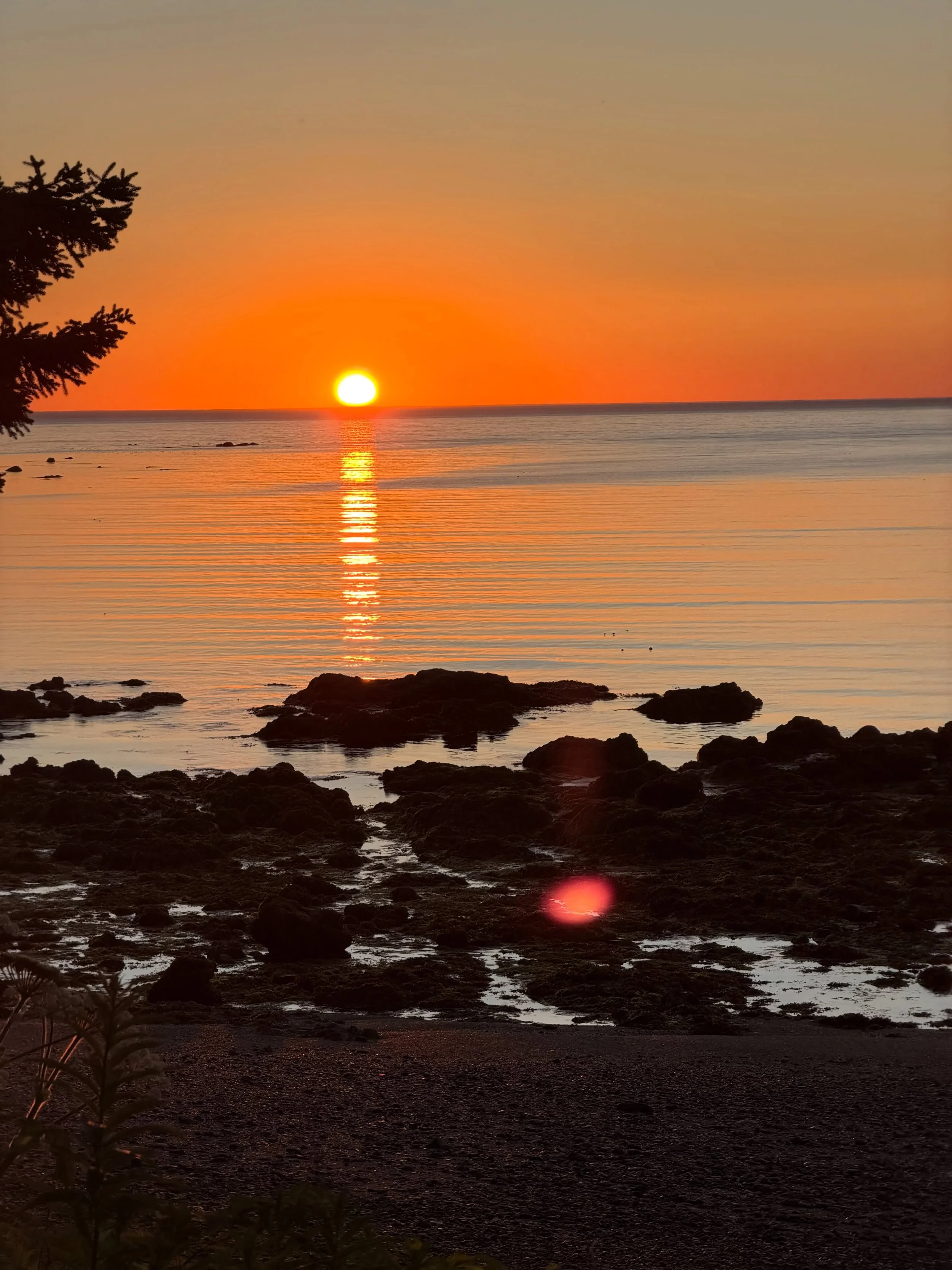 Today's sunrise view here at FBTO was incredible! We hope everyone has been enjoying the beautiful weather we've been having here in Kodiak!