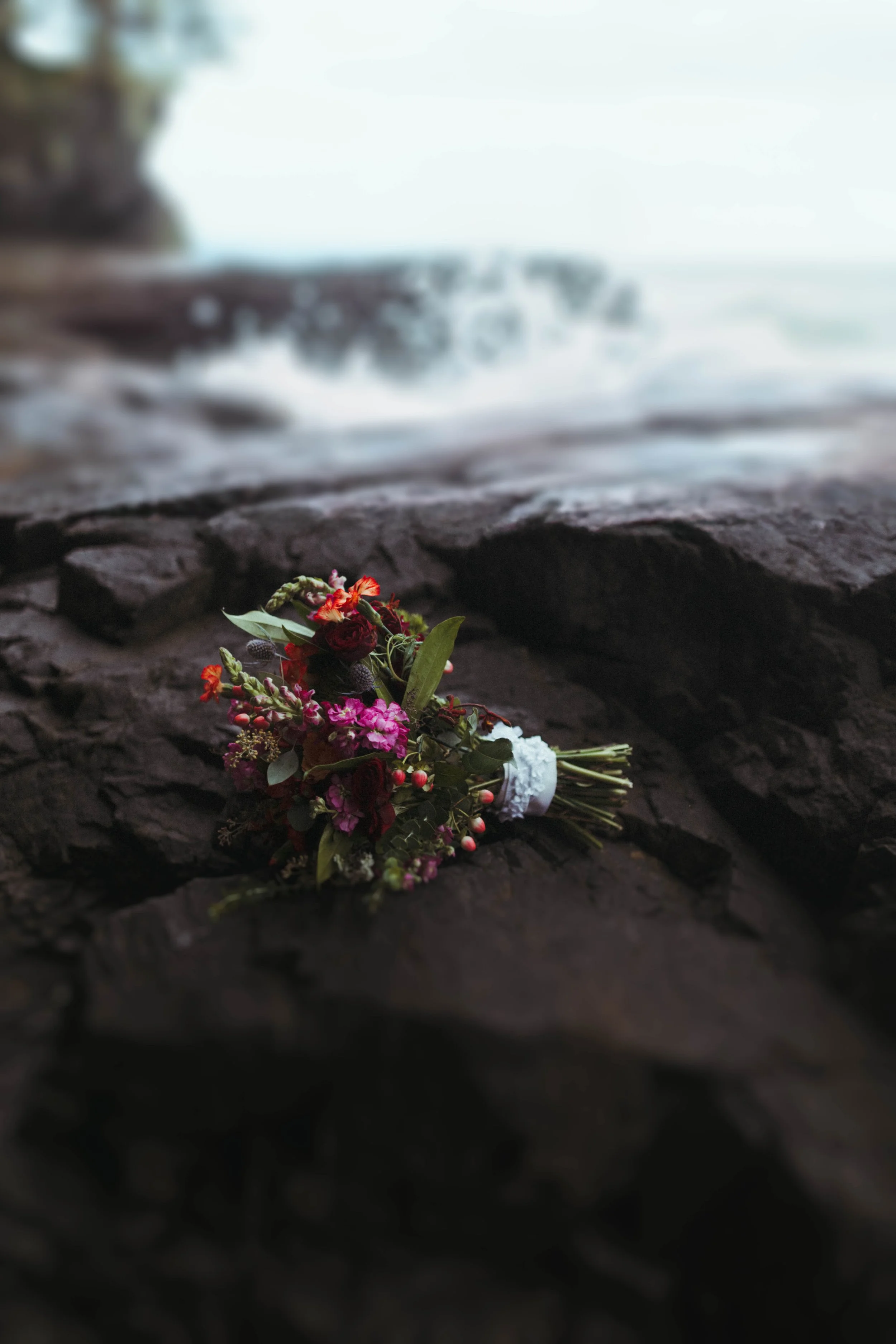 BP7A6844-Edit.jpg