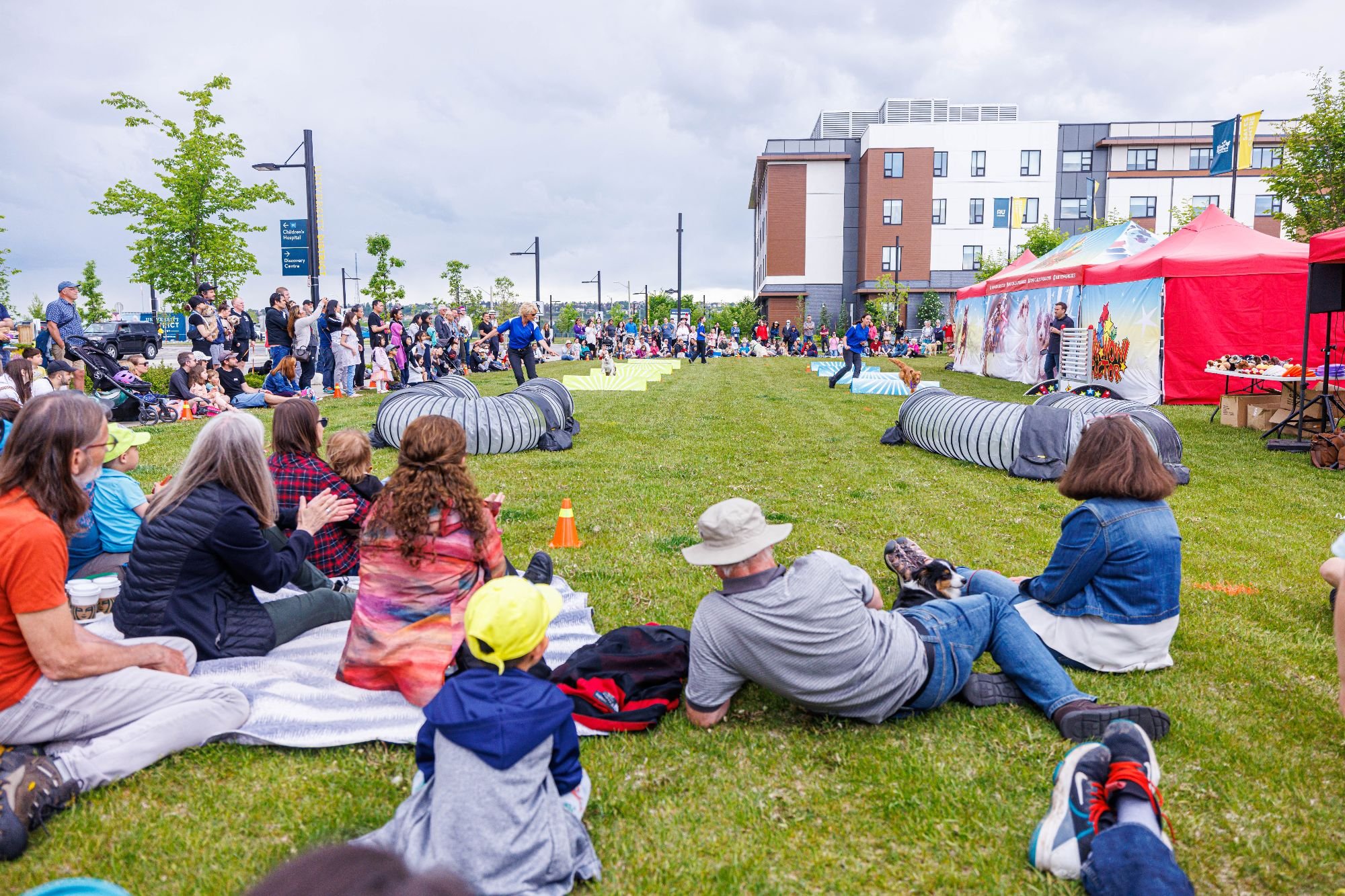 jpeg-optimizer_UD Tails and Treasures NZ-5282.jpg