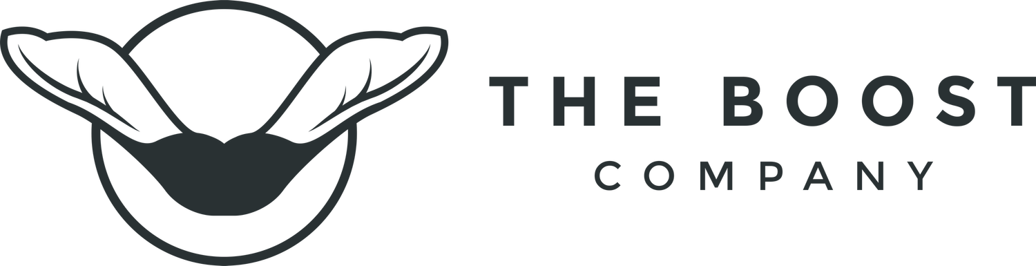 The Boost Company