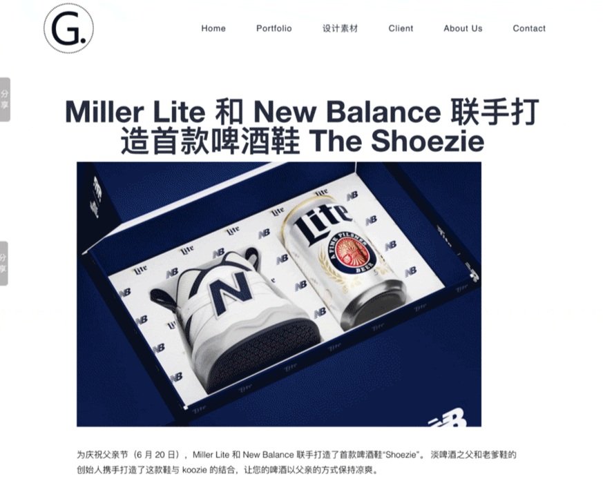 global-shoezie.jpg