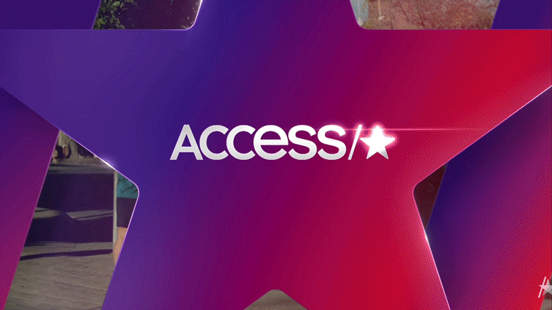 Access-Michelob.gif
