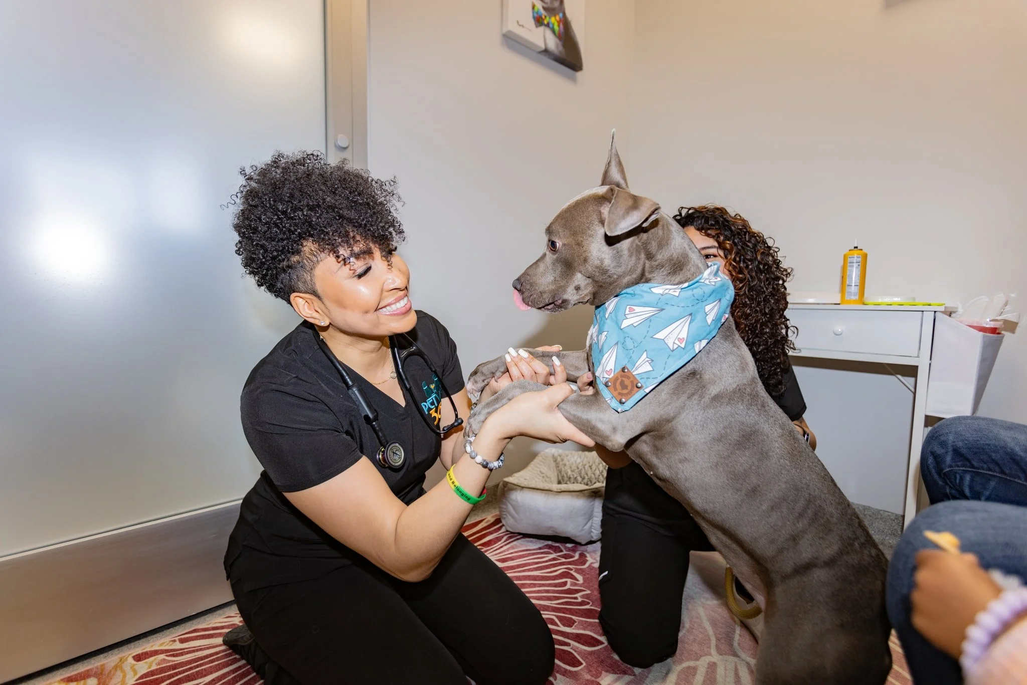 Veterinary Playing with Dog