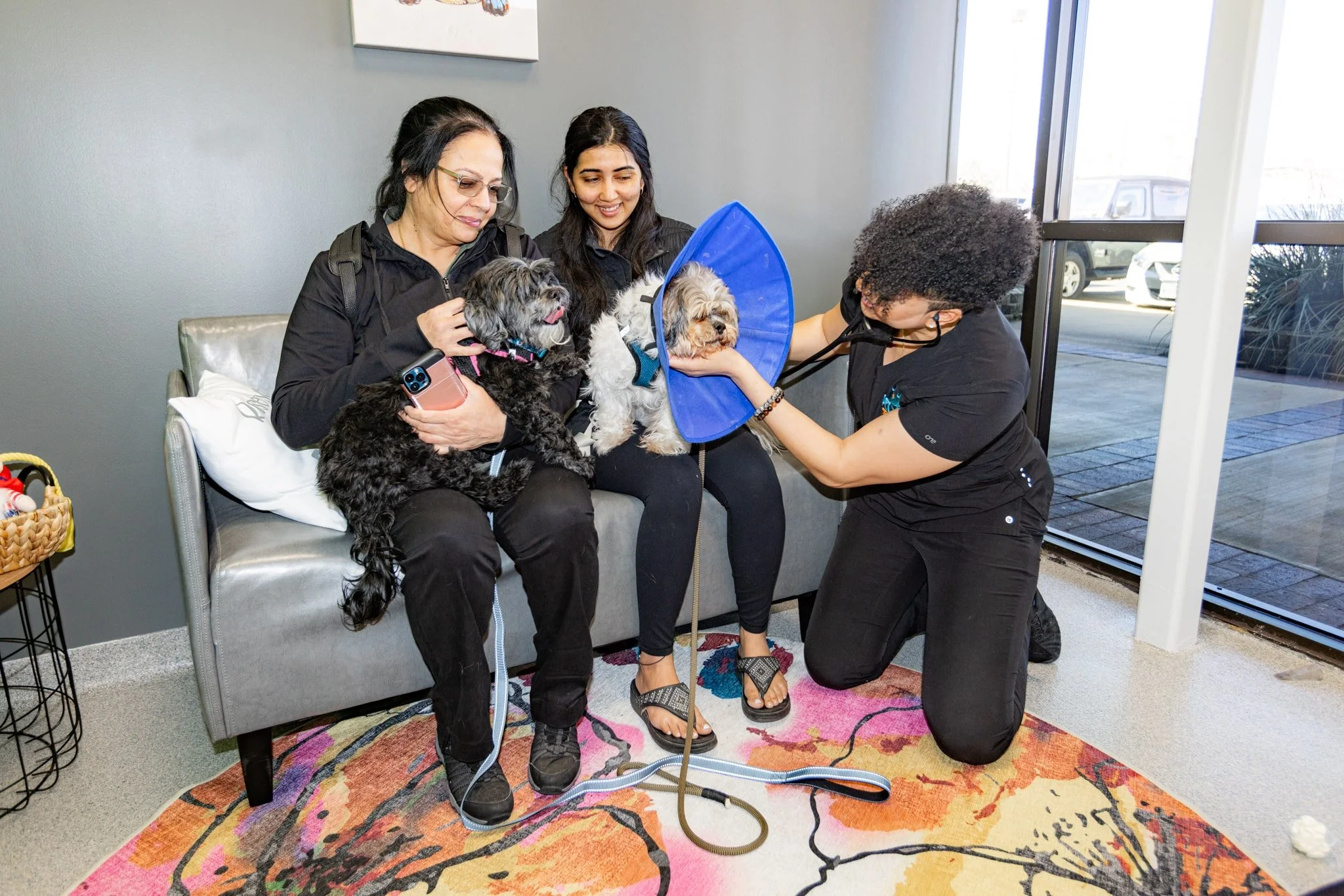 Veterinarian helping pets with pet parents
