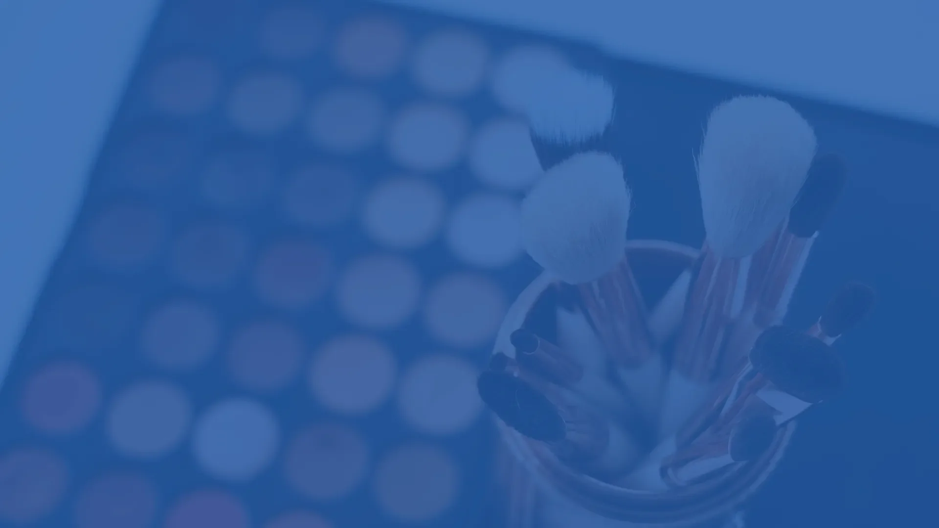 Denver Social Media & Influencer Marketing