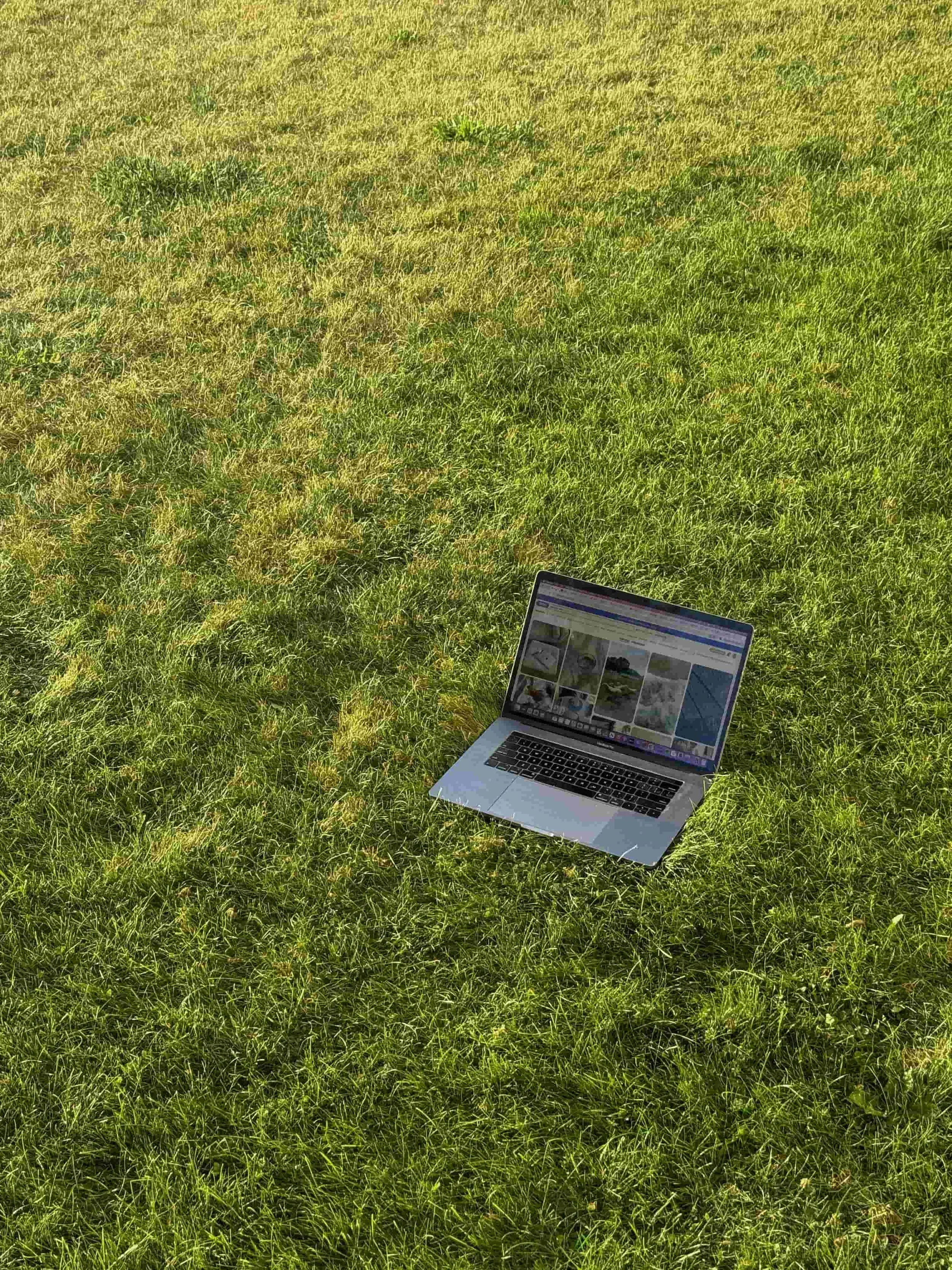 Open laptop sitting in a sunlit grassy field with Pinterest visible on screenOpen laptop sitting in a sunlit grassy field with Pinterest visible on screen