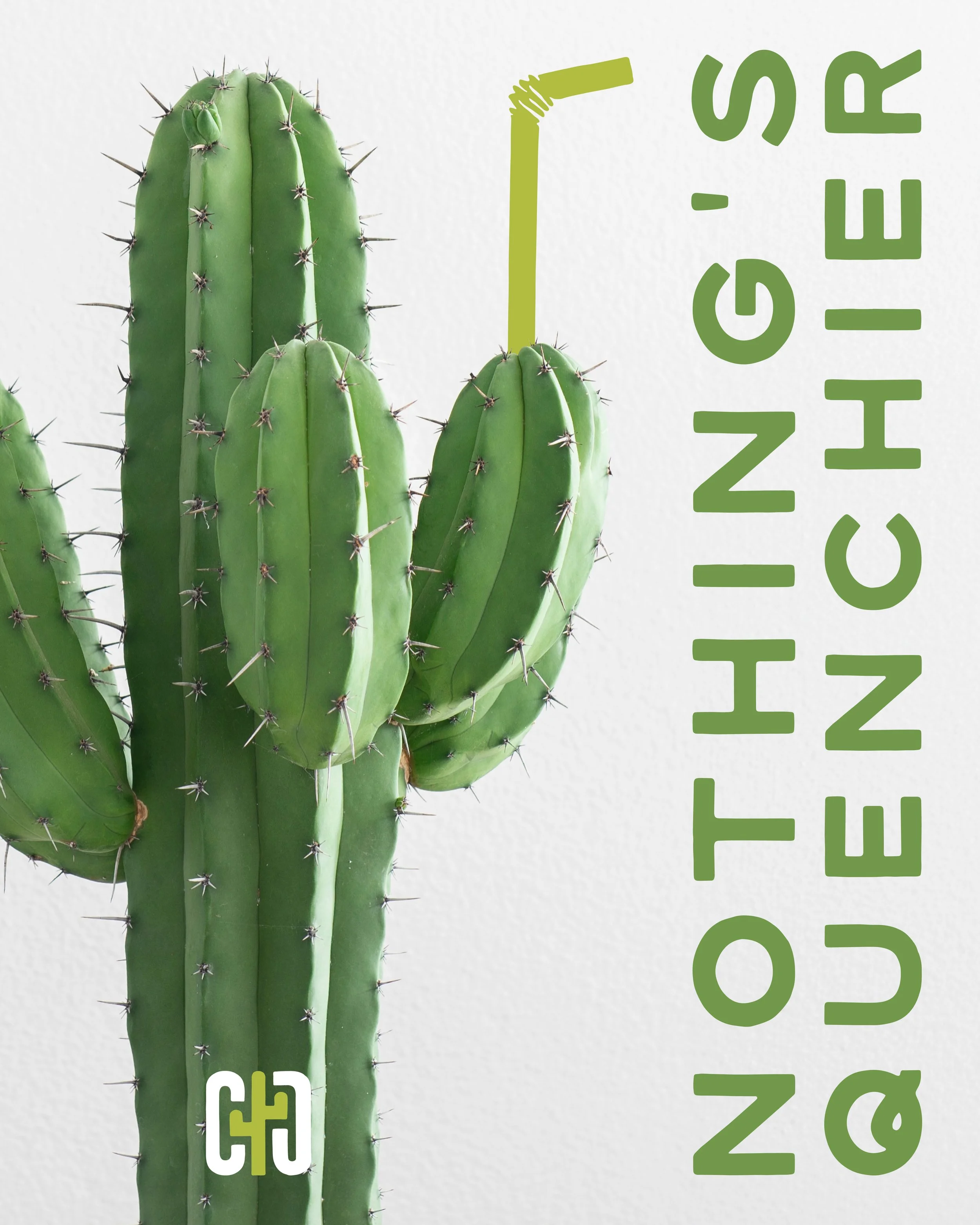 A green cactus with multiple pads and sharp spines, with the text 'NOTHING'S ACCIERS' vertically aligned on the right side of the image.