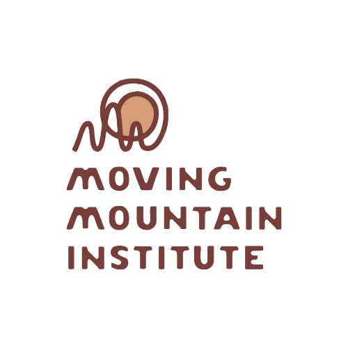MMI Logo.png
