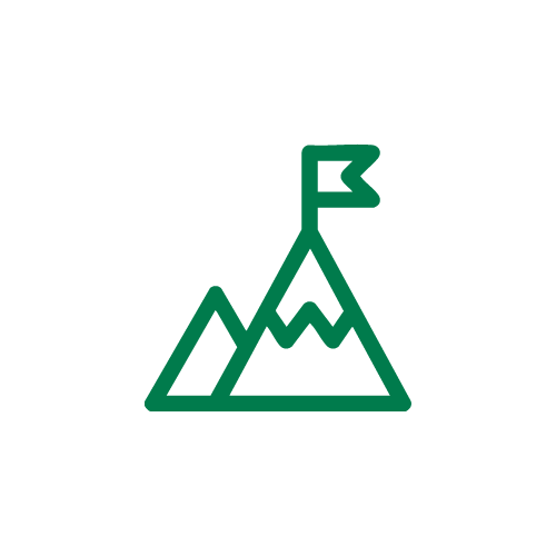 flag on a mountain icon