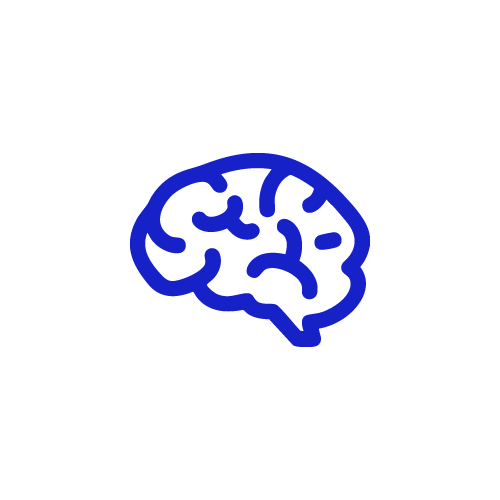 brain icon
