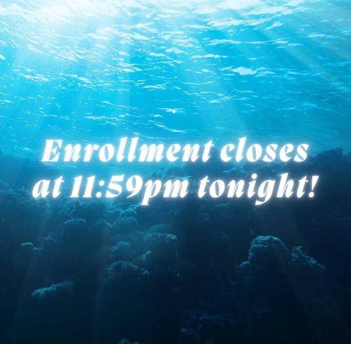 Today is the day, friends. If you've been feeling the call to join us for our 6-month dive into psychedelic preparation and integration, enrollment closes this evening. We start on Wednesday, March 6th. ⁠
.⁠
This is a well, an ocean, a deep immersion