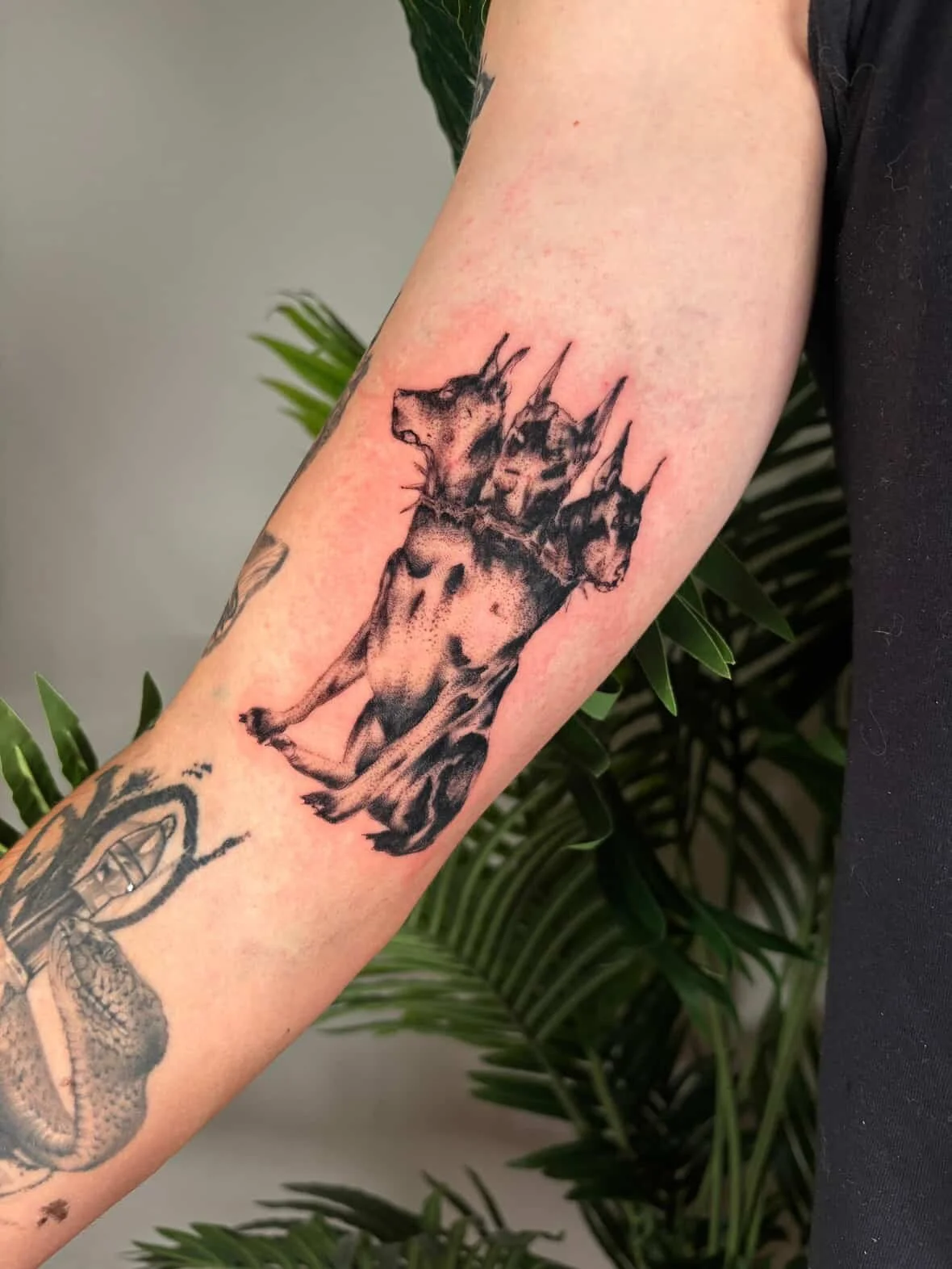 Tattoo of a dragon's head on a person's forearm.