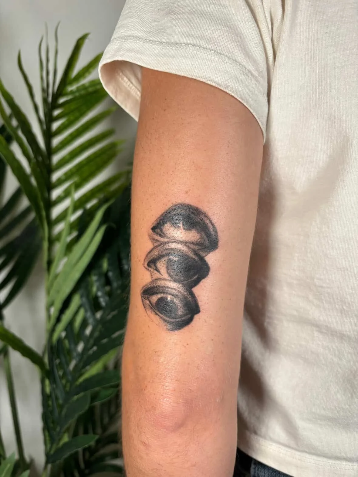 A tattoo of four realistic black and gray seashells on a person's inner forearm, with a leafy green plant in the background.