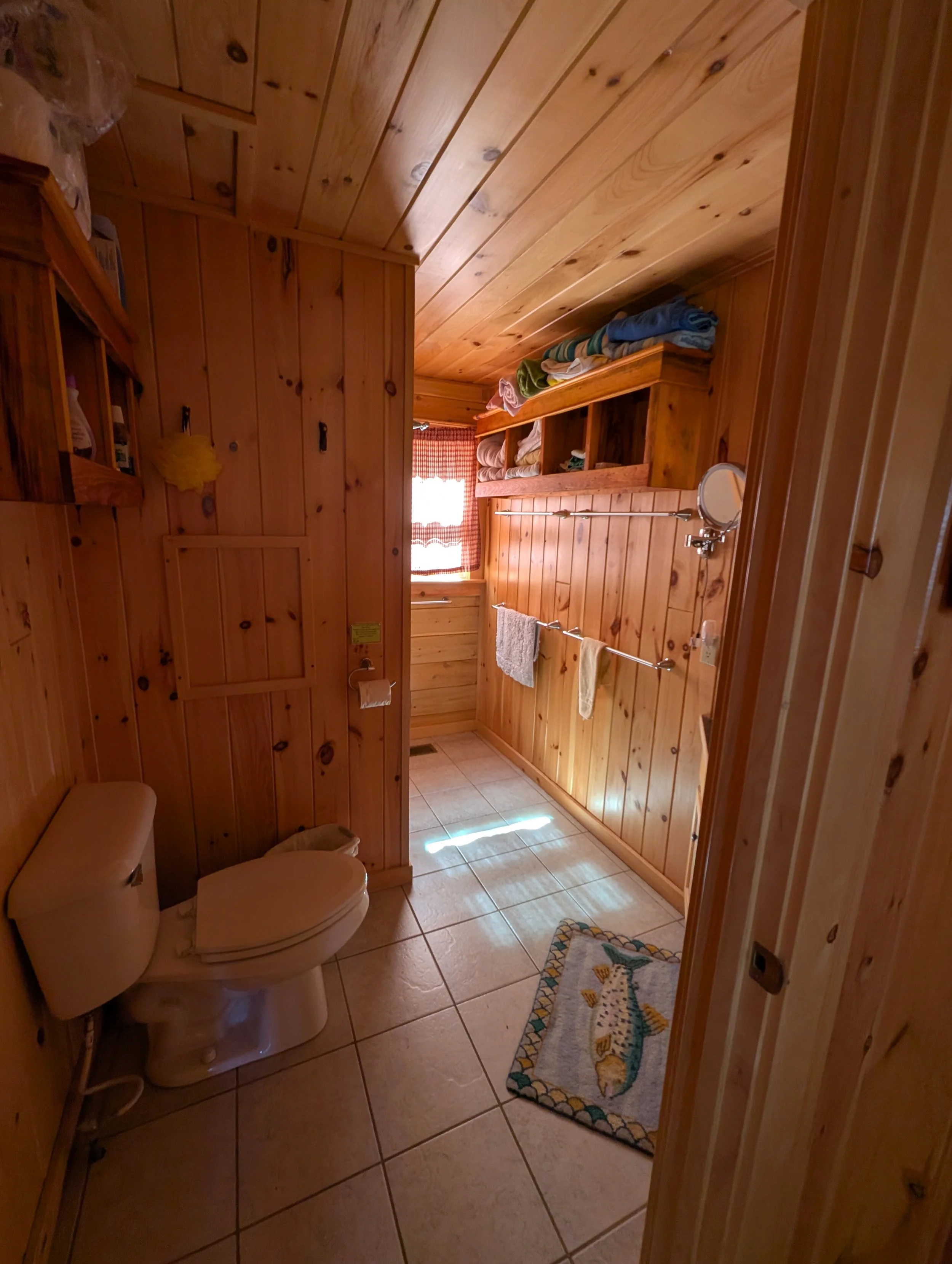 Downstairs bathroom with shower