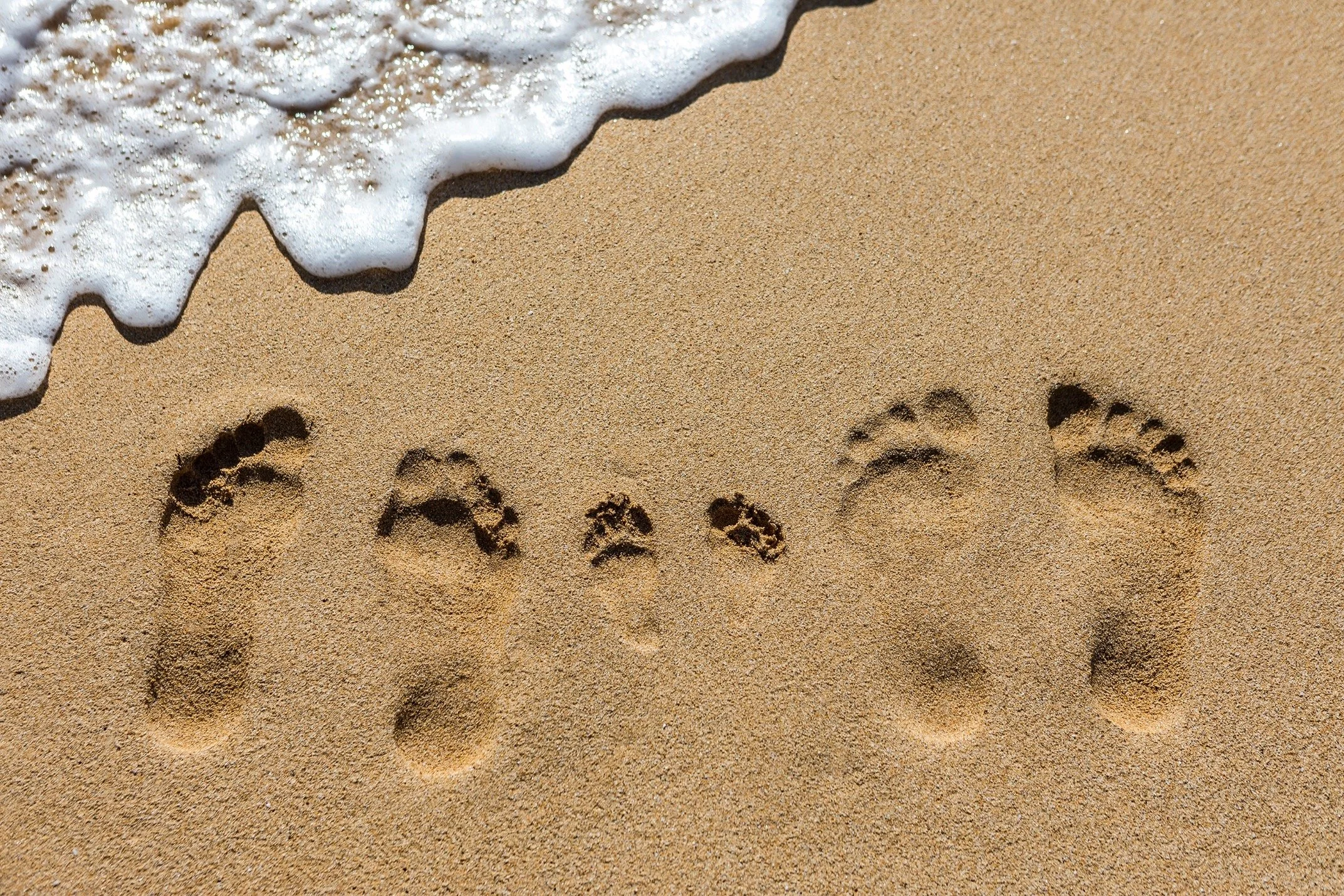 Are you “Vacation Ready”?