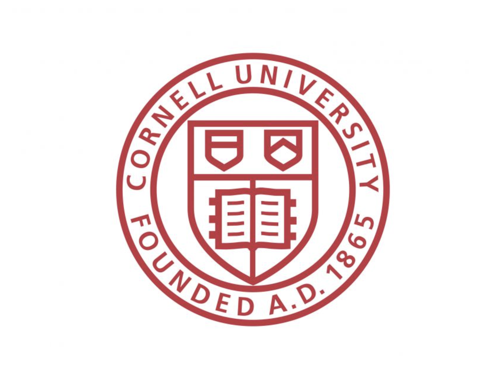 Screenshot 2024-11-13 at 8.21.13 PM.png