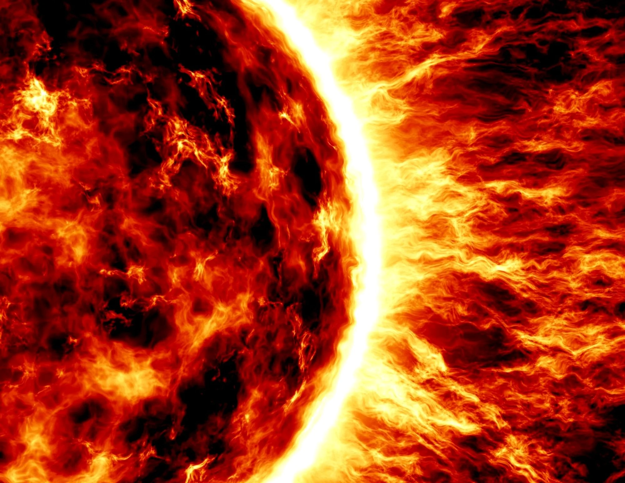 Roar into Renewal: Embrace Your Destiny Under the New Moon in Leo 