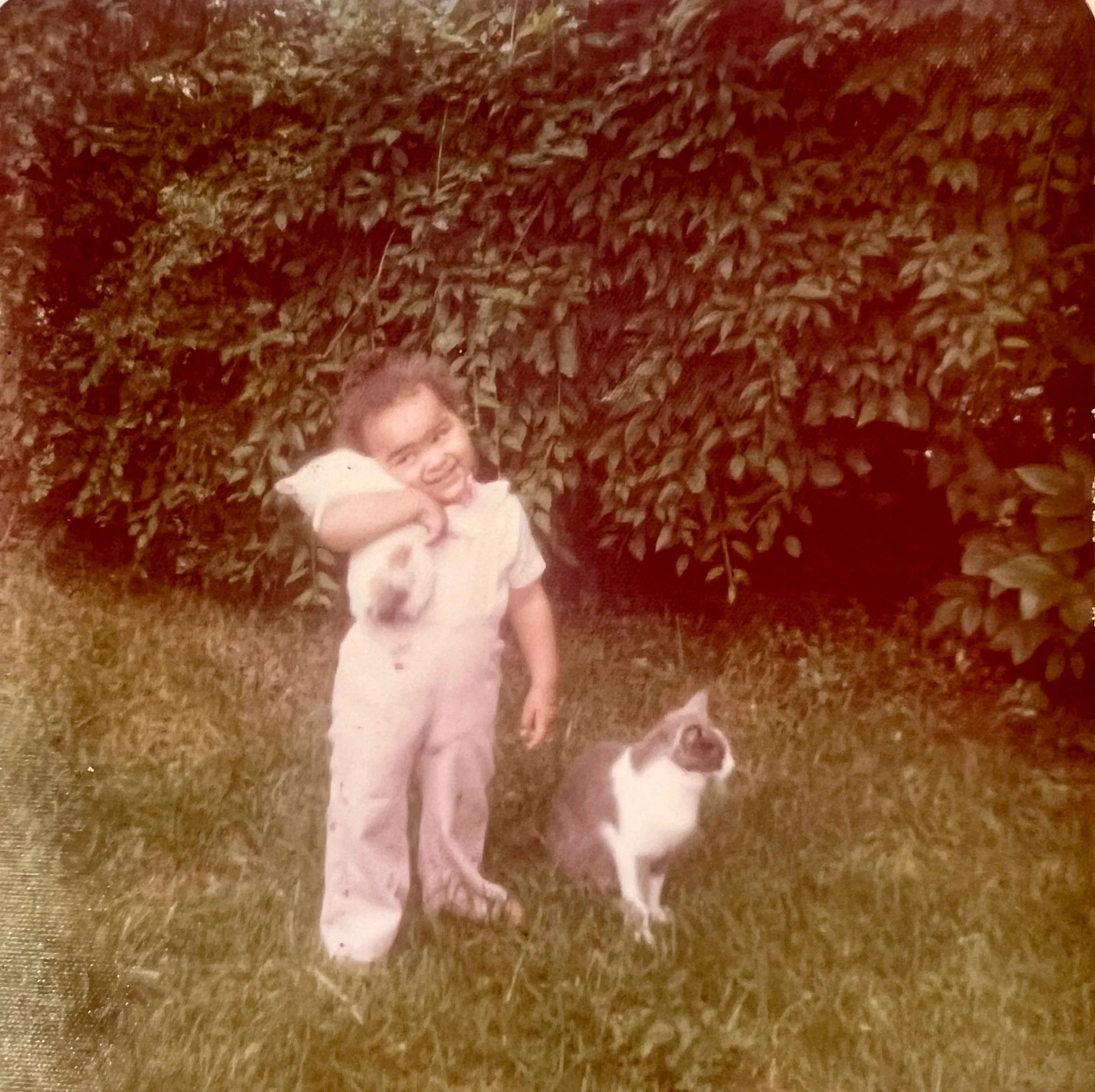 Me as a toddler hugging a kitten with the mom cat sitting nearby.