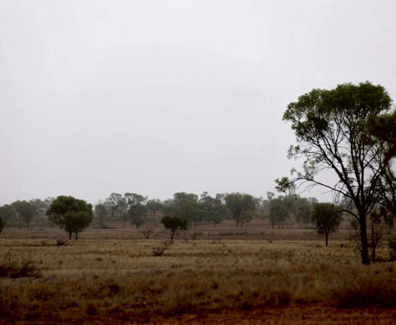 Weather Updates from The RPL Team — Rural Property Livestock