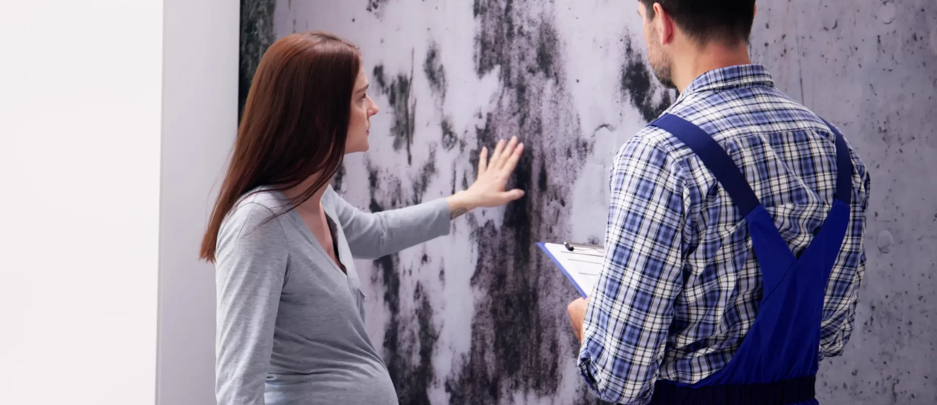 Selling a House With Mold in Mississippi