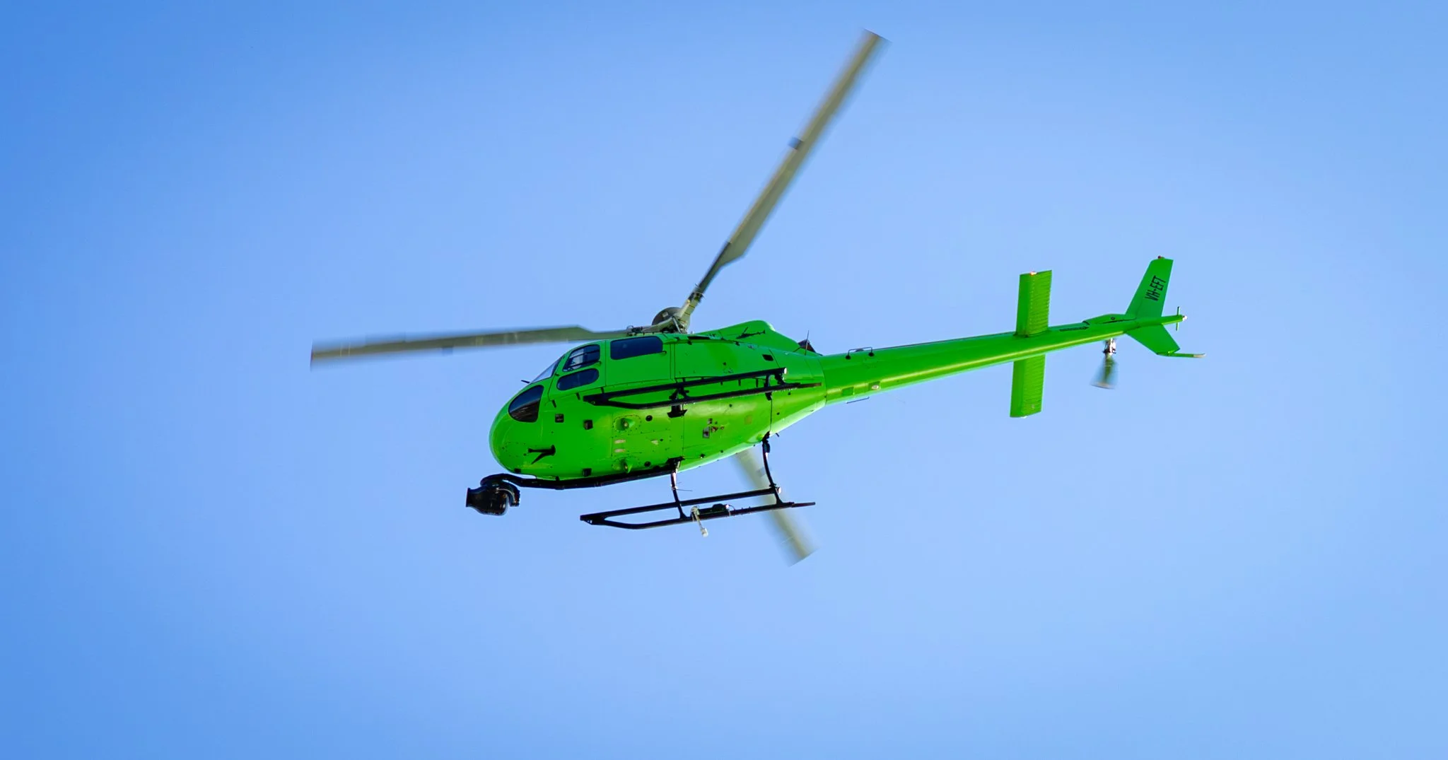 TFAK-7.jpg