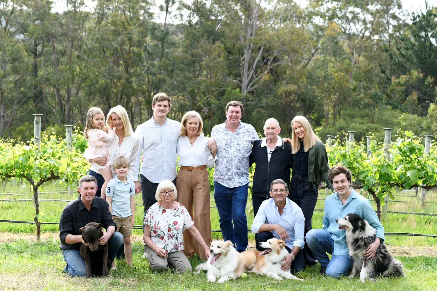 Matthews Hospitality