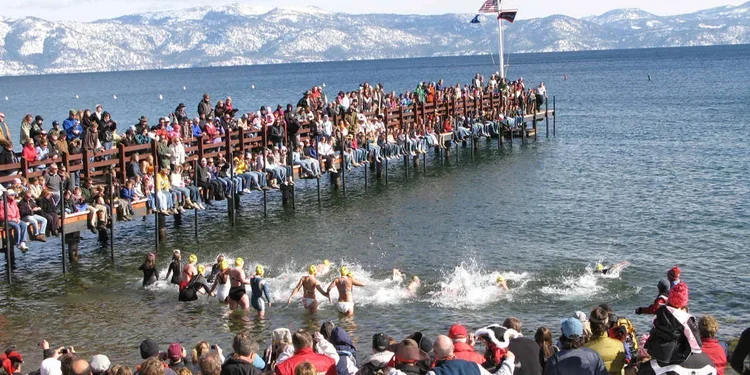 Plunge Into North Shore