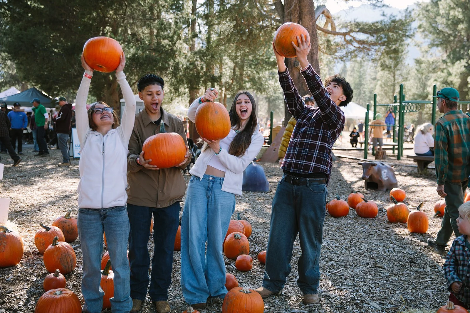 Four festivalgoers hold pumpkins at an outdoor fall festival beneath tall trees.