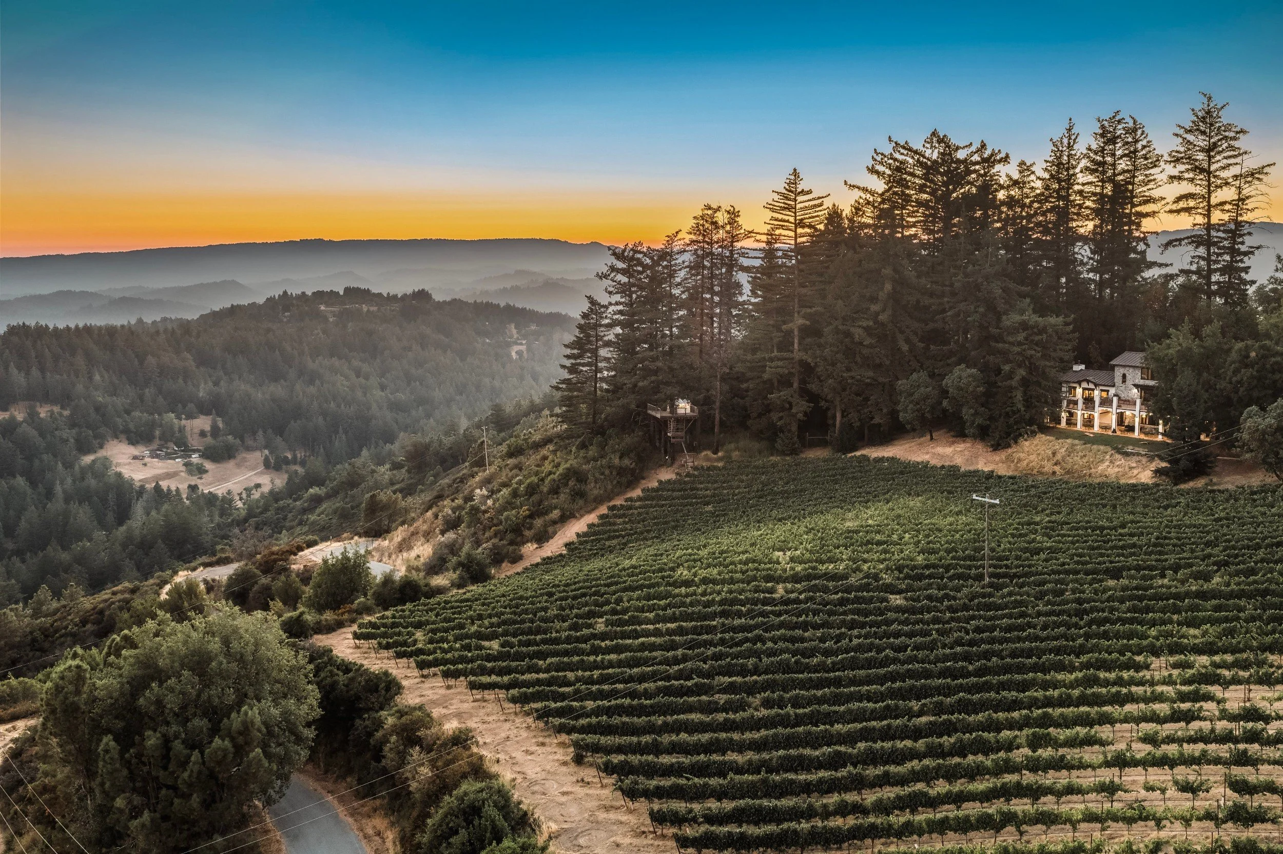 Aerial view at dusk of hillside vineyard rows at Lago Lomita, with tall trees, a home on the ridge and layered Santa Cruz Mountains ridges beyond