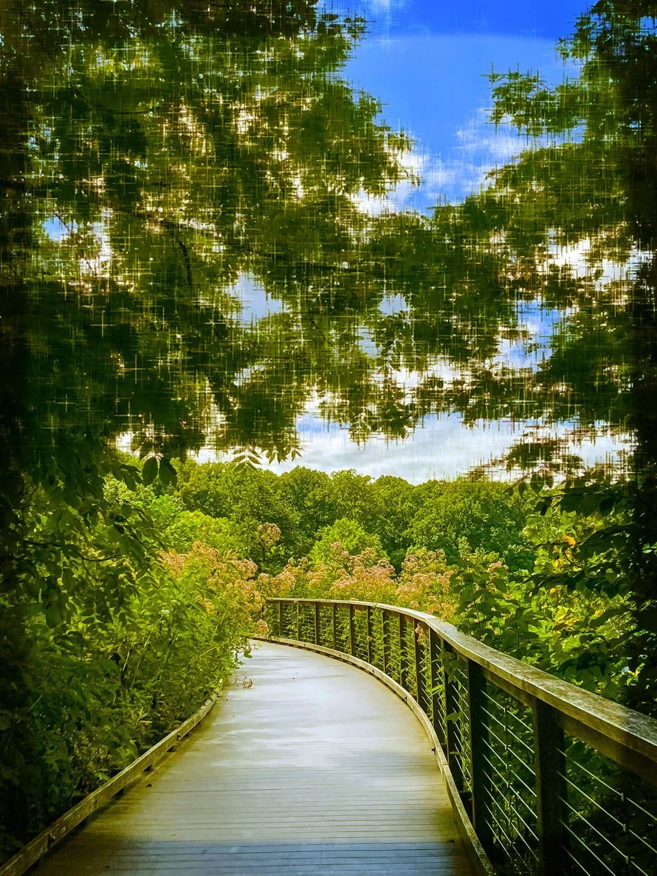 Through My Eyes