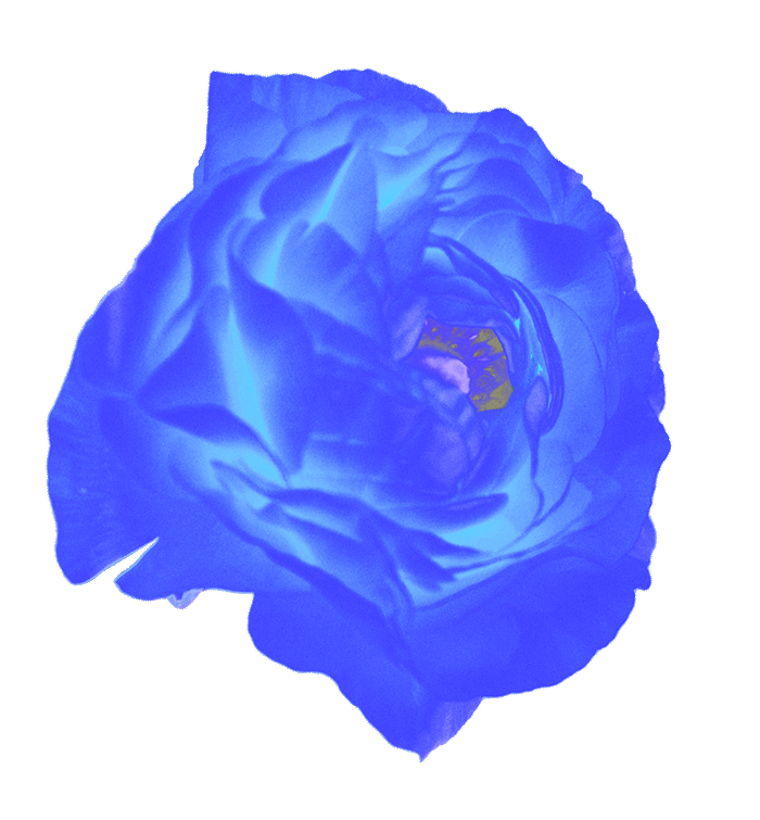 Podcast Coach Chelsea Riffe Launch and Grow Your Podcast