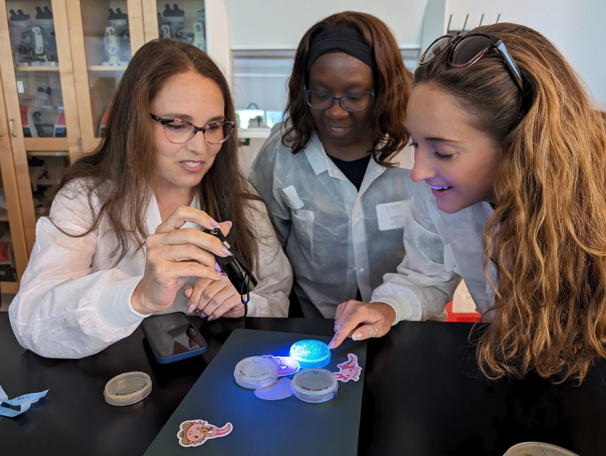 Educators participating in a professional development training through BABEC.