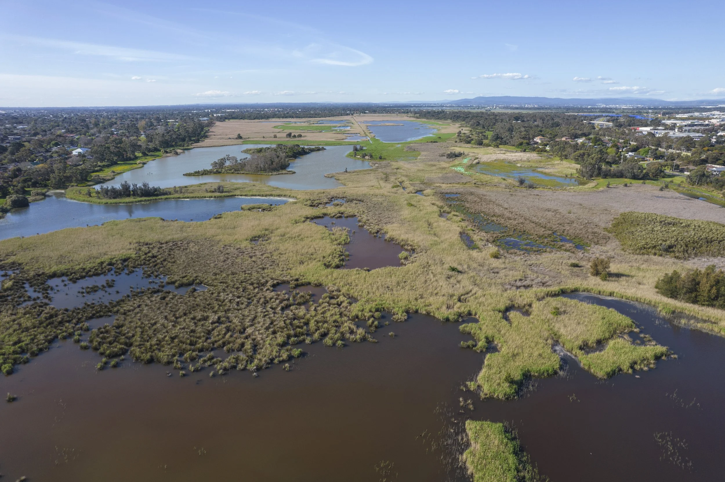 Seaford Wetlands - Interpretive Upgrade Plan