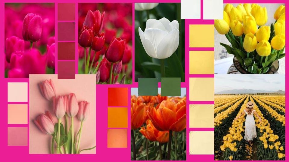 Tulip Garden 1 .jpg